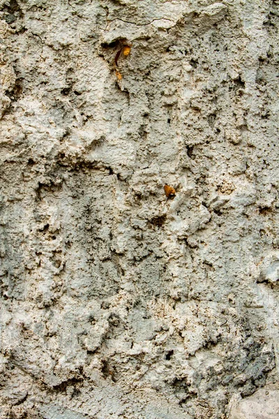 Closeup Detail Old Stucco Wall Baskdrop — стоковое фото