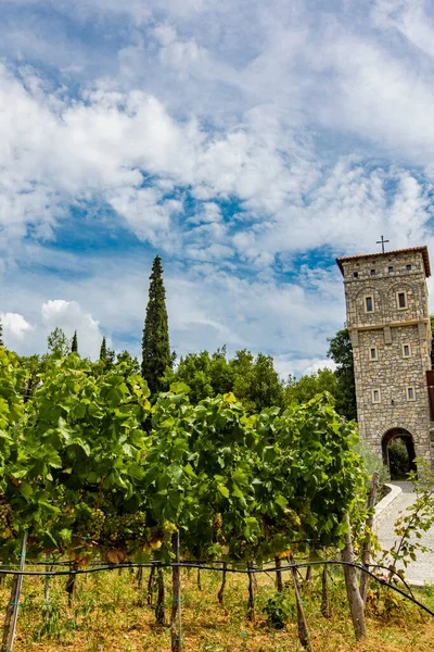 Detail Tvrdos Monastery Its Vineyards Bosnia Herzegovina — Φωτογραφία Αρχείου