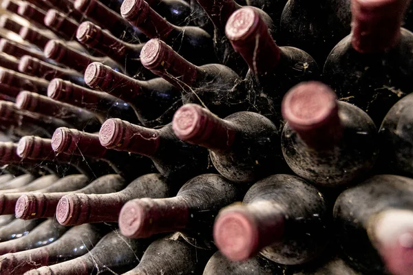 Closeup Archive Wine Bottles — Stock Photo, Image