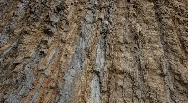 Closeup Detail Vertical Strata Formation — Stock Photo, Image