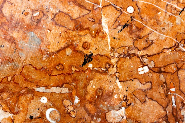 Närbild Detalj Den Röda Fossil Kalksten — Stockfoto