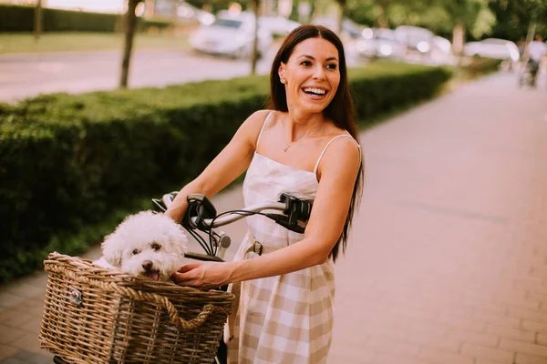 Ładna Młoda Kobieta Białym Bichon Frise Dog Koszu Rower Elektryczny — Zdjęcie stockowe