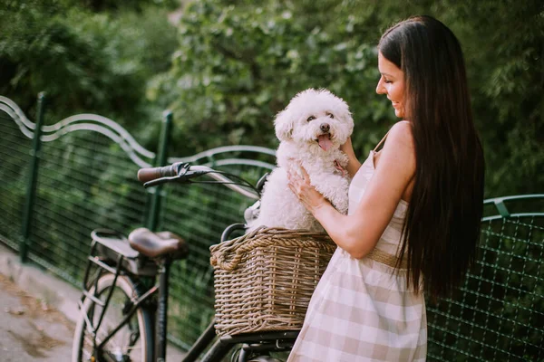Mooie Jonge Vrouw Met Witte Bichon Frise Hond Mand Van — Stockfoto