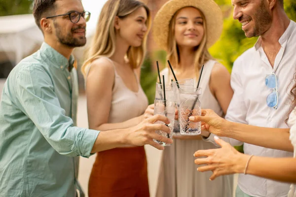 Grupo Jovens Aplaudindo Com Limonada Fresca Jardim — Fotografia de Stock