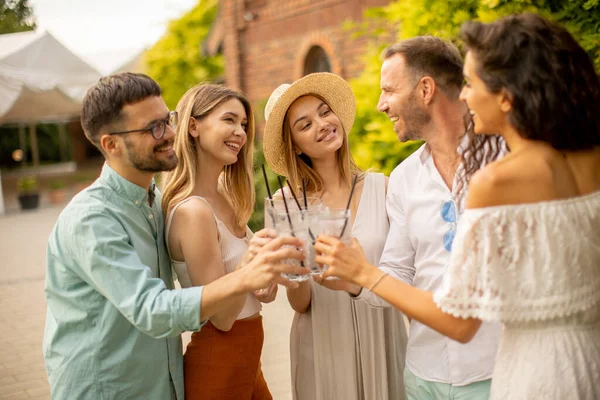 Groupe Jeunes Applaudissements Avec Limonade Fraîche Dans Jardin — Photo