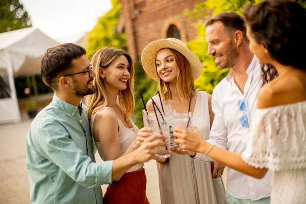 Groupe Jeunes Applaudissements Avec Limonade Fraîche Dans Jardin — Photo