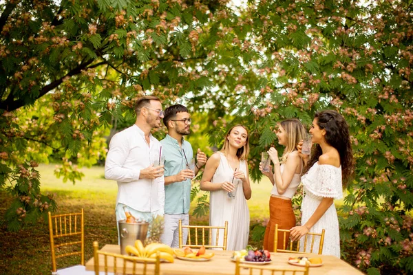Group Young People Cheering Fresh Lemonade Eating Fruits Garden — Stockfoto