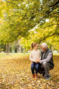 Yakışıklı büyükbaba sonbahar günü torunuyla parkta vakit geçiriyor.