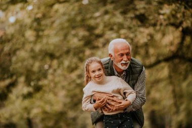 Yakışıklı büyükbaba sonbahar günü torunuyla parkta vakit geçiriyor.