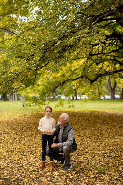 Yakışıklı Büyükbaba Sonbahar Günü Torunuyla Parkta Vakit Geçiriyor — Stok fotoğraf