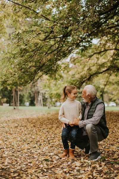 秋の日に孫娘と公園で過ごすハンサムな祖父 — ストック写真