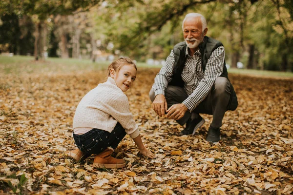 Przystojny Dziadek Spędza Czas Swoją Wnuczką Parku Jesienią — Zdjęcie stockowe