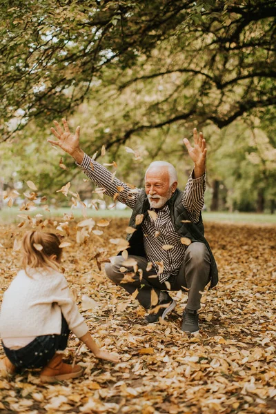 Hezký Dědeček Tráví Čas Svou Vnučkou Parku Podzim — Stock fotografie