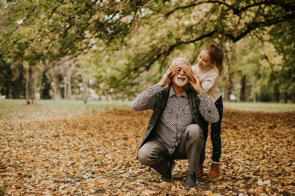 Hermoso Abuelo Pasar Tiempo Con Nieta Parque Día Otoño — Foto de Stock