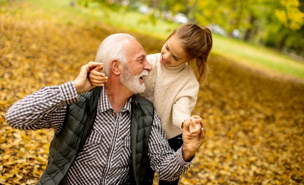 Красивый Дедушка Проводит Время Своей Внучкой Парке Осенью — стоковое фото