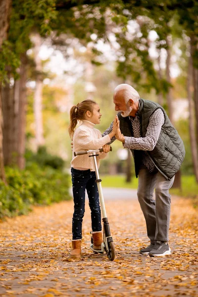 Senior Lehrt Seine Enkelin Tretroller Fahren Herbstpark — Stockfoto