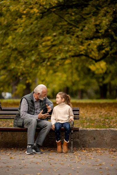 Bonito Avô Passar Tempo Com Sua Neta Banco Parque Dia — Fotografia de Stock