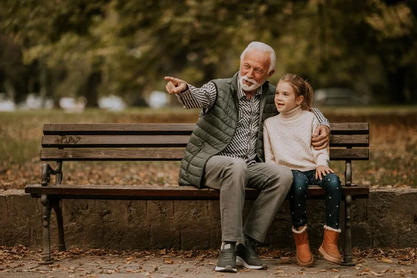 Hermoso Abuelo Pasar Tiempo Con Nieta Banco Parque Día Otoño — Foto de Stock