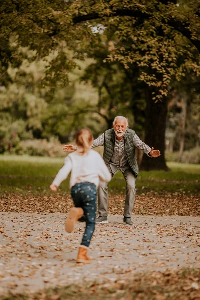 Bonito Avô Passar Tempo Com Sua Neta Parque Dia Outono — Fotografia de Stock