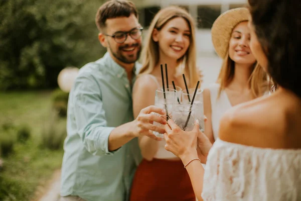 Grupo Jóvenes Animando Con Limonada Fresca Jardín — Foto de Stock