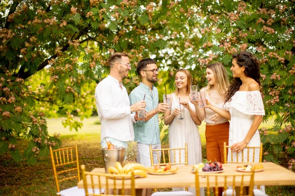 Group Young People Cheering Fresh Lemonade Eating Fruits Garden — Foto Stock