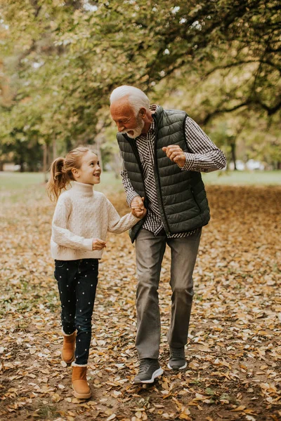 Красивый Дедушка Проводит Время Своей Внучкой Парке Осенью — стоковое фото