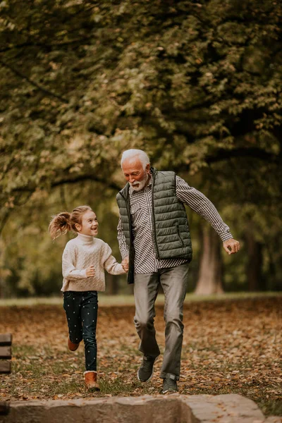 Hermoso Abuelo Pasar Tiempo Con Nieta Parque Día Otoño — Foto de Stock