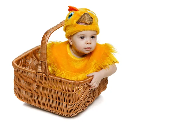 Bebé sentado en la cesta de Pascua en traje de pollo —  Fotos de Stock