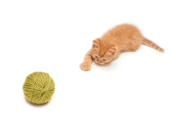 Red kitten playing with green clew — Stock Photo, Image