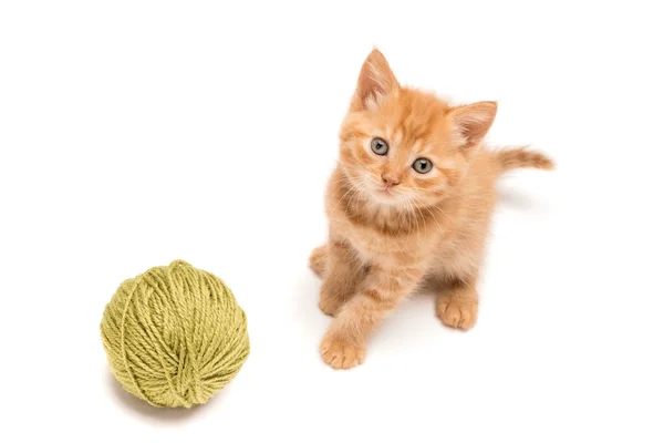 Red kitten playing with green clew — Stock Photo, Image