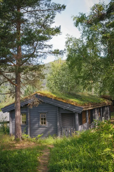 Tipica casa norvegese con erba sul tetto — Foto Stock