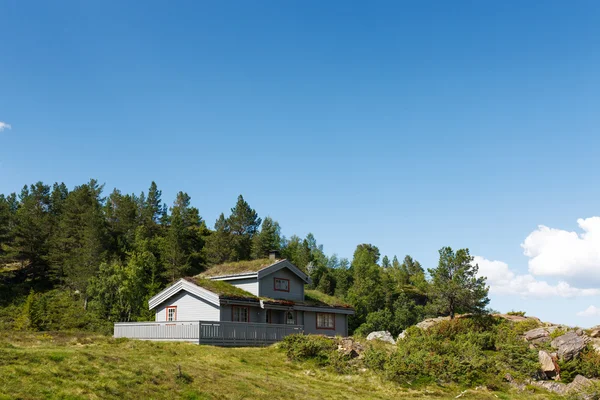 Типичное норвежское здание с травой на крыше — стоковое фото
