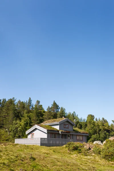 Edifício típico norwegian com grama no telhado — Fotografia de Stock