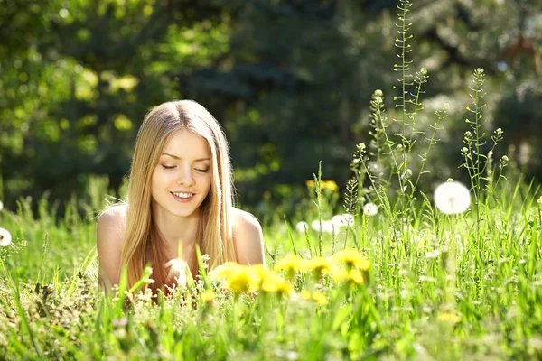 Dandelions sahada yalancı bahar kız Stok Fotoğraf