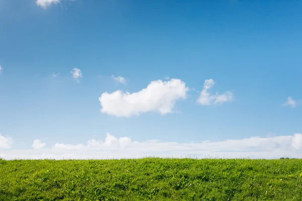 Campo verde y cielo azul —  Fotos de Stock