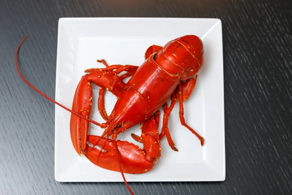 Homard atlantique bouilli sur plaque blanche — Photo