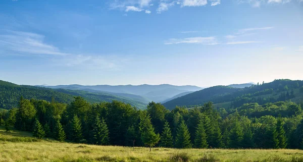Pemandangan Hutan Pegunungan Dengan Padang Rumput Depan Ukraina Pegunungan Carpathian — Stok Foto
