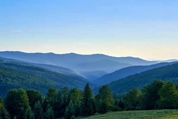 Twilight Boslandschap Bergen Oekraïense Karpaten — Stockfoto