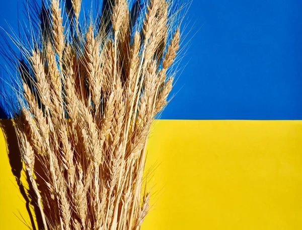 Schoen Van Rijpe Tarwe Nationale Oekraïense Vlag Bovenaanzicht — Stockfoto