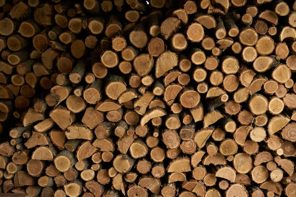 Kmeny Stromů Prořezávají Zeď Zásoby Dřeva Pro Zimní Vytápění — Stock fotografie