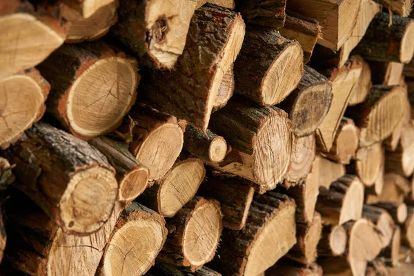 Kmeny Stromů Prořezávají Zeď Zásoby Dřeva Pro Zimní Vytápění — Stock fotografie