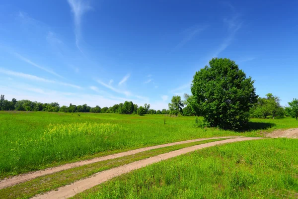 Strada di campagna in campo verde e alberi — Foto Stock