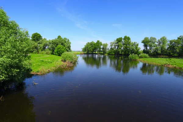 Paisaje con río y árboles verdes — Foto de Stock