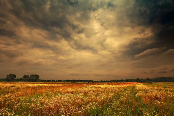 Nuages sombres et pluvieux — Photo