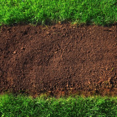 toprak ve çim arka plan