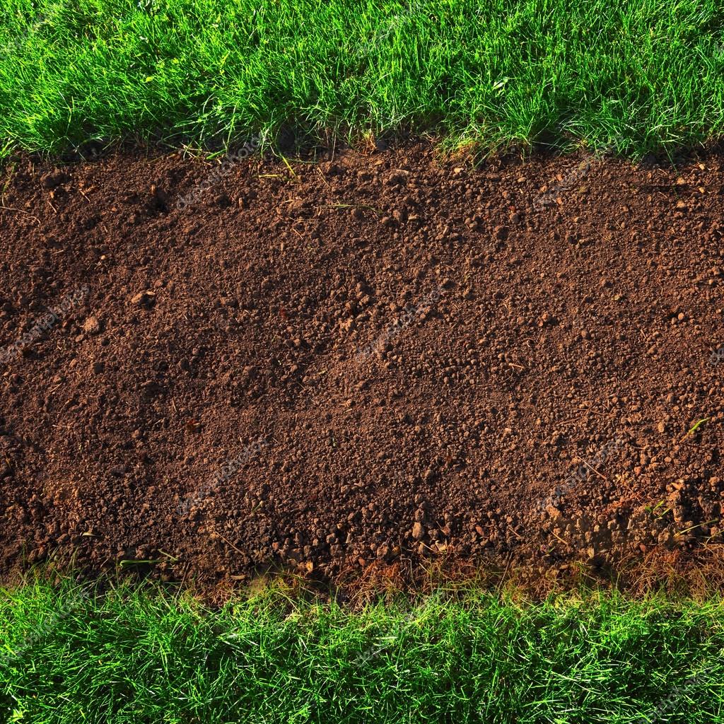 Soil and grass background Stock Photo by ©SergeyIT 23599473