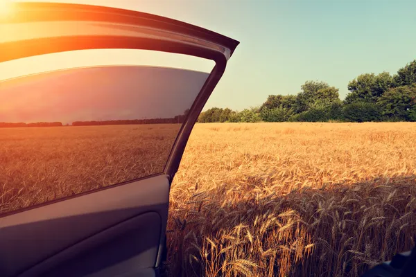 Auto in campo di grano con porta aperta — Foto Stock