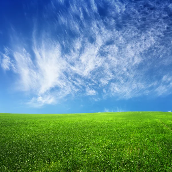 Nuages sur ciel bleu et champ vert — Photo