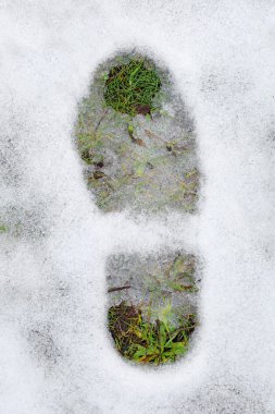 ayak izi ve kar altında yeşil çimen