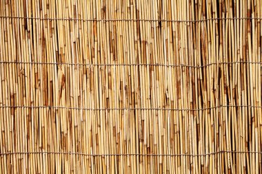 Bambu veya reed bardağı taşıran damla arka plan